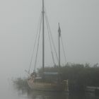 Herbstzeit am Darßer Bodden