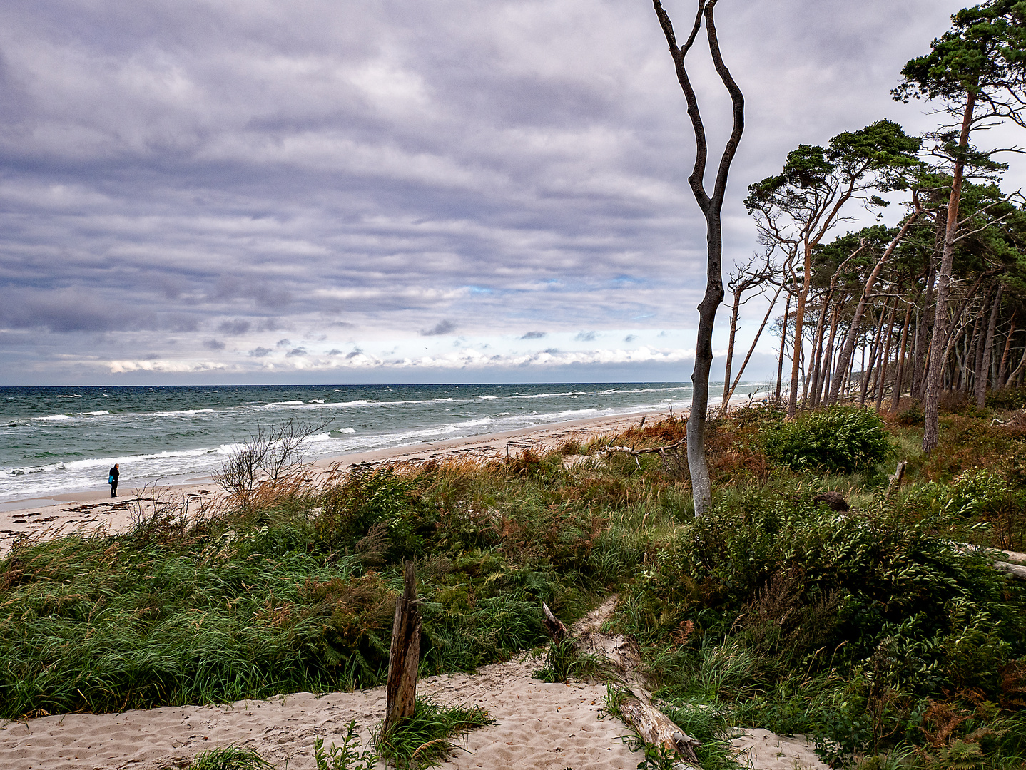 Herbstzeit am Darßer Weststrand