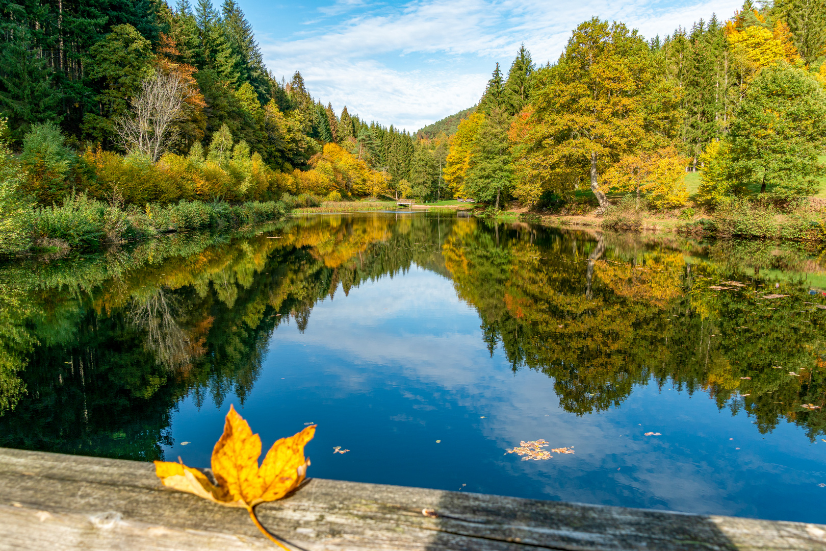 Herbstzeit am Eutersee