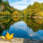 Herbstzeit am Eutersee