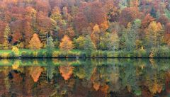 *Herbstzeit am Maar*