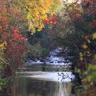 Herbstzeit am Rotbach