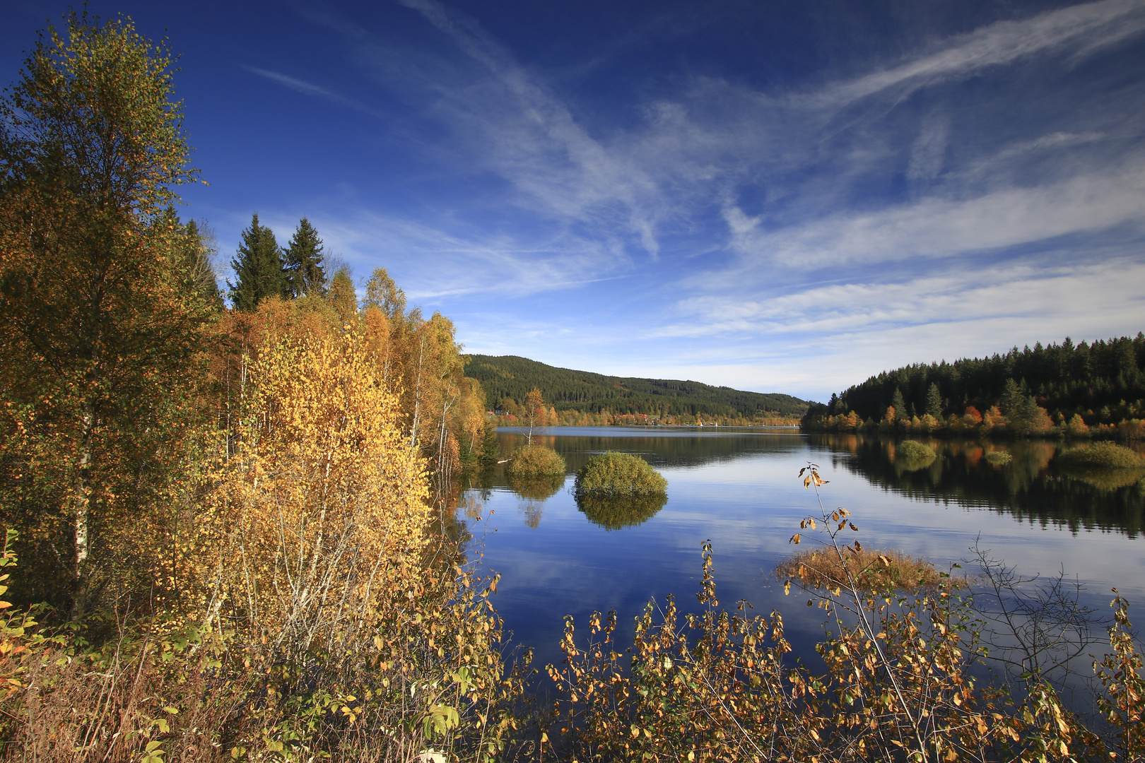 Herbstzeit am Schluchsee