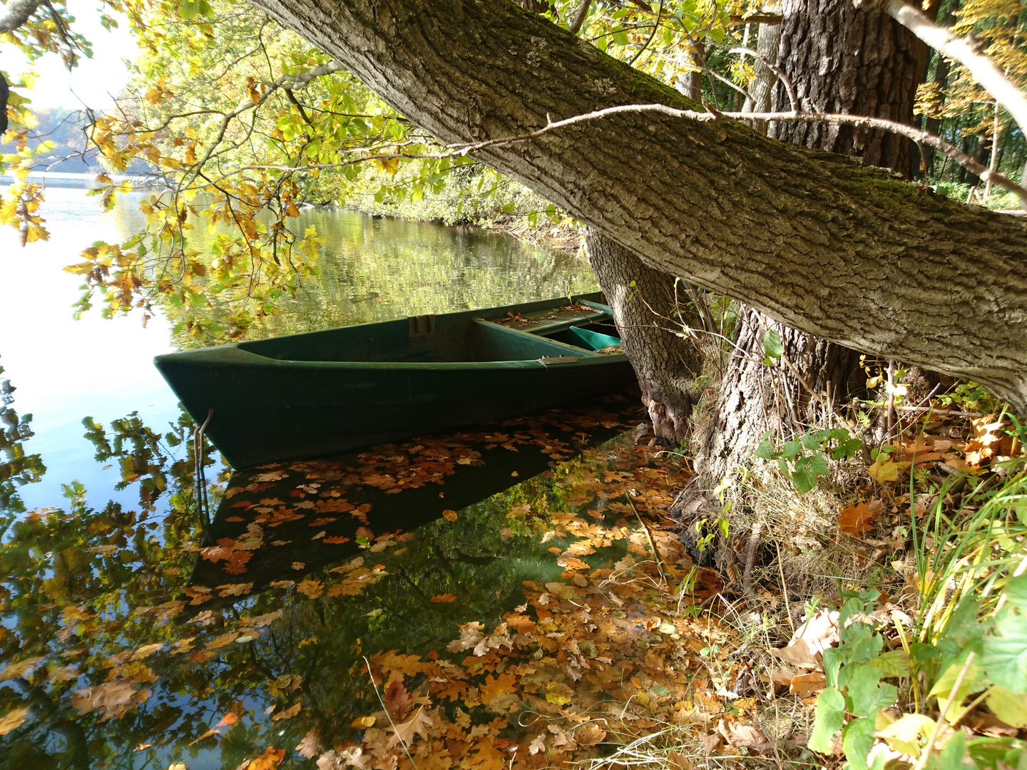 Herbstzeit am See 2015