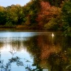 Herbstzeit am See