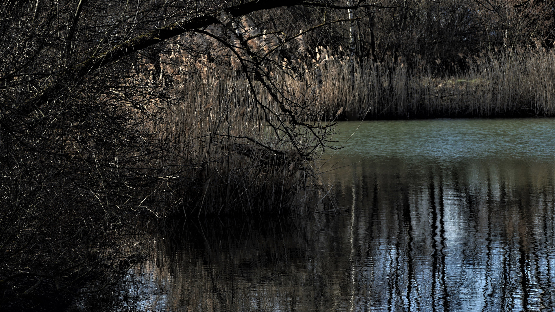 Herbstzeit am Teich...