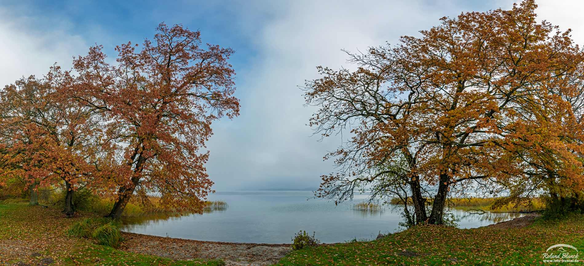 Herbstzeit am Tollensesee