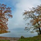 Herbstzeit am Tollensesee