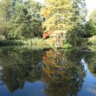 Herbstzeit am Weiher