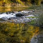 Herbstzeit an der Emme