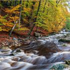 * Herbstzeit an der Hoegne *