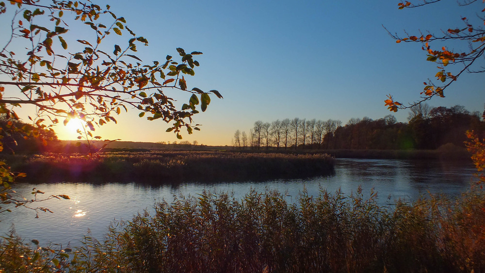 Herbstzeit an der Stör