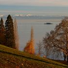 Herbstzeit auf der Insel Mainau mit Blick auf den Bodensee und die Alpen