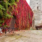 Herbstzeit auf der Wasserburg Egeln