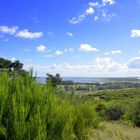 Herbstzeit auf Hiddensee 