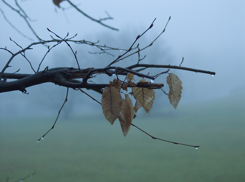 Herbstzeit