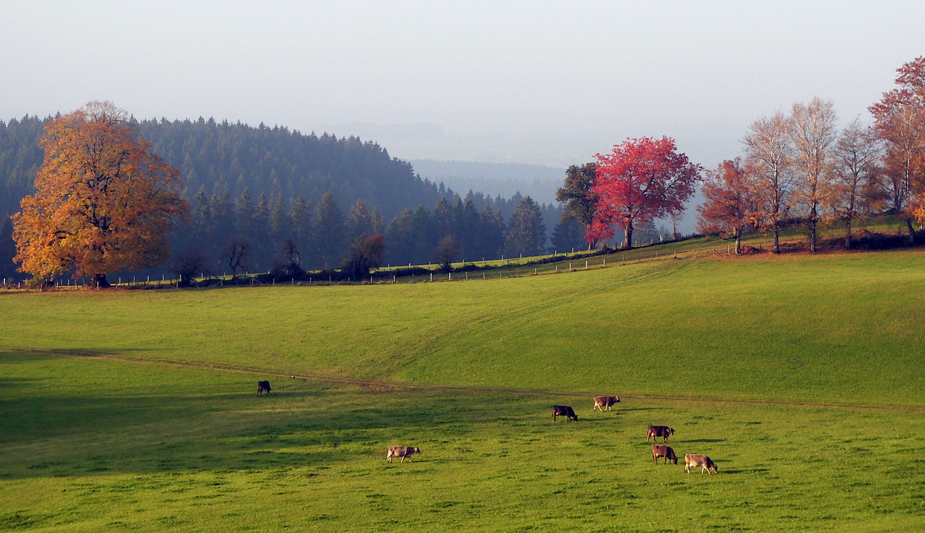 Herbst.Zeit