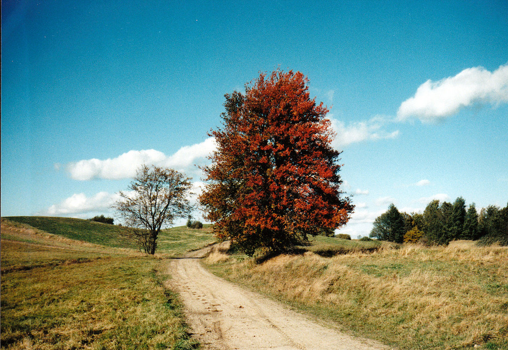 Herbstzeit