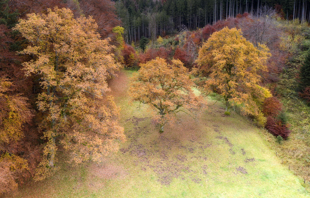 Herbstzeit