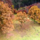 Herbstzeit