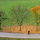 Herbstzeit