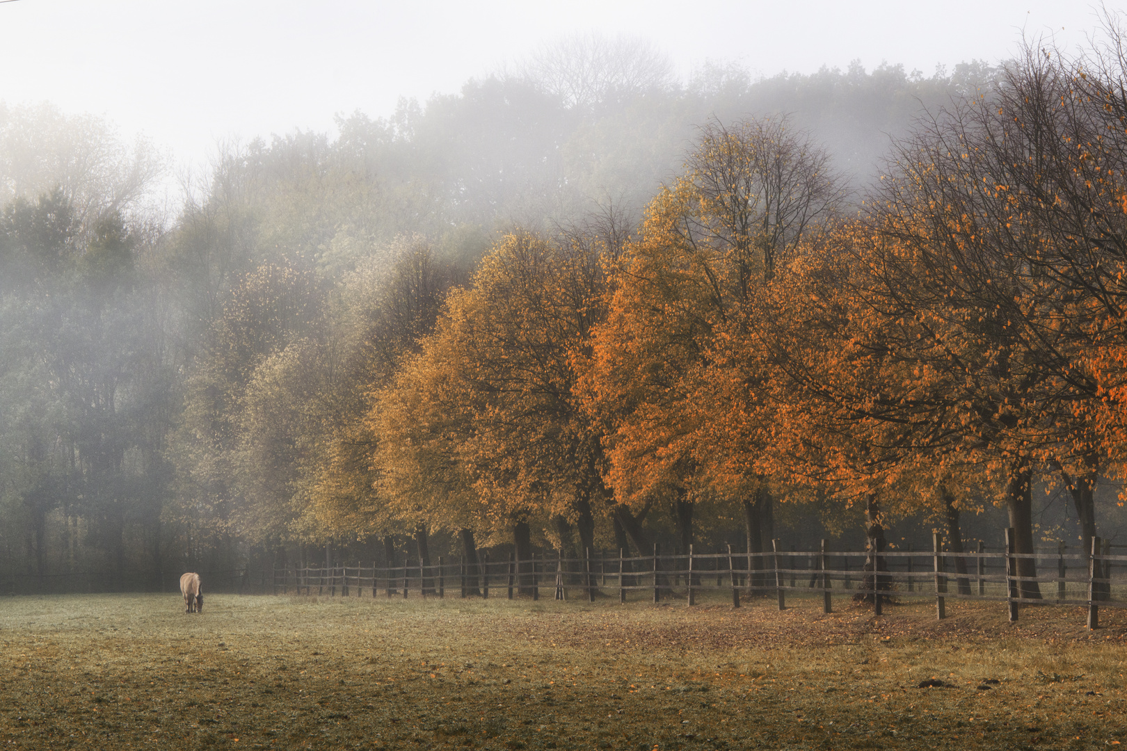 Herbstzeit