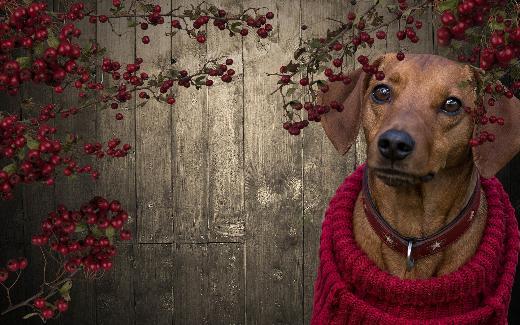 Herbstzeit