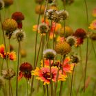 Herbstzeit beginnt