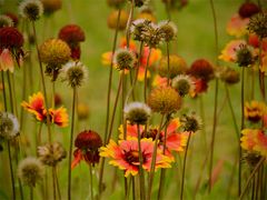 Herbstzeit beginnt