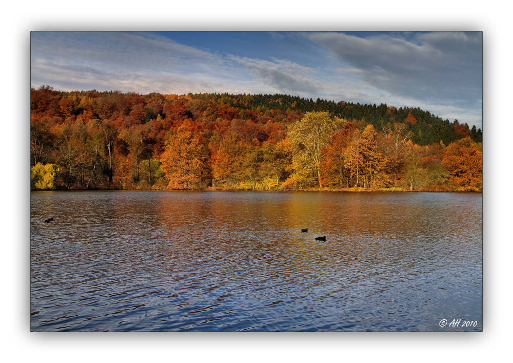 Herbstzeit - bunte Zeit