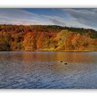 Herbstzeit - bunte Zeit