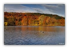 Herbstzeit - bunte Zeit