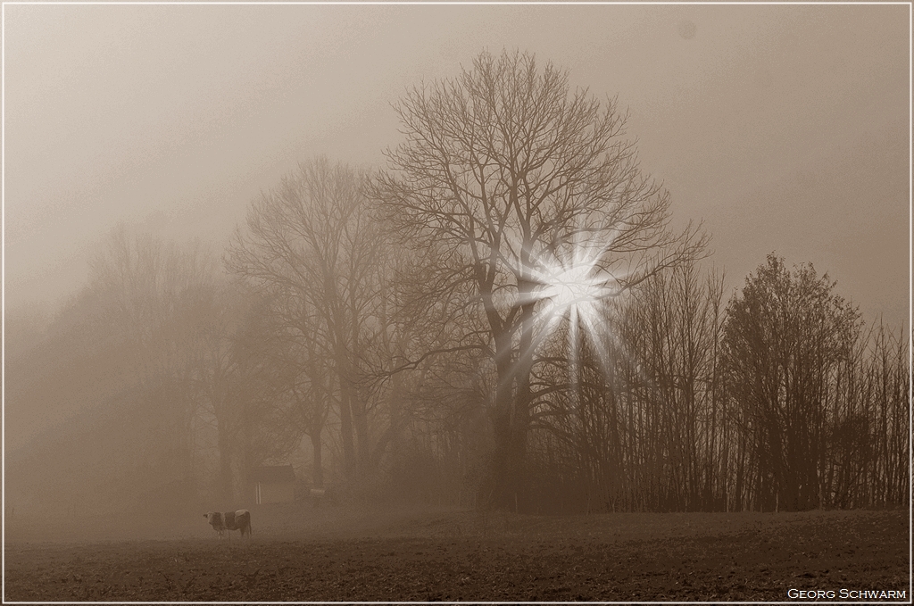 Herbstzeit!