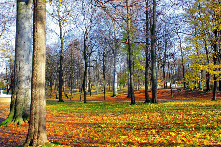 herbstzeit