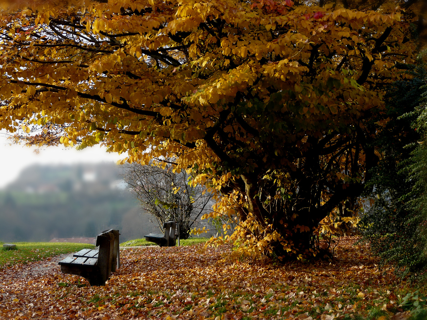 Herbstzeit