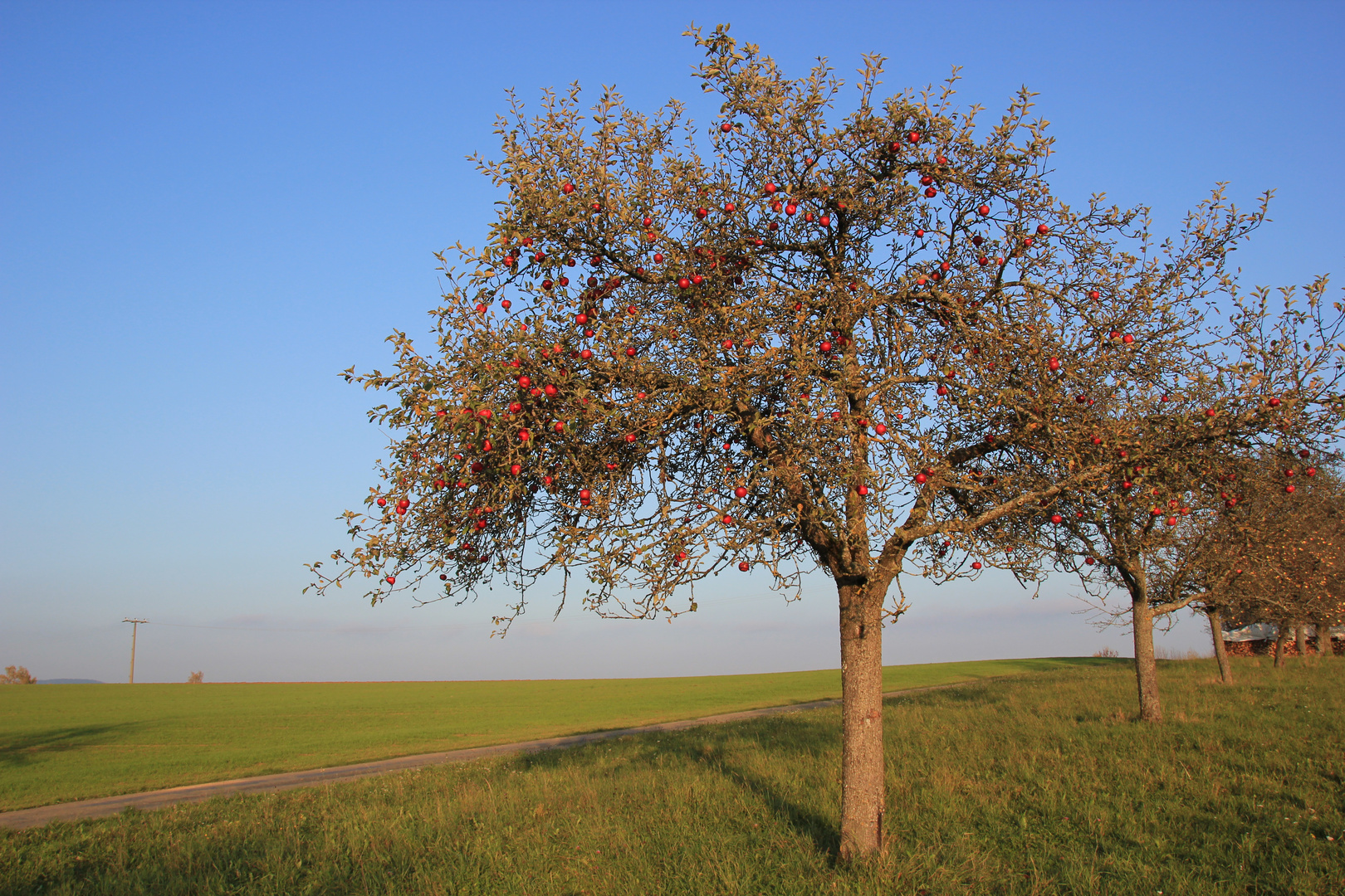 Herbstzeit