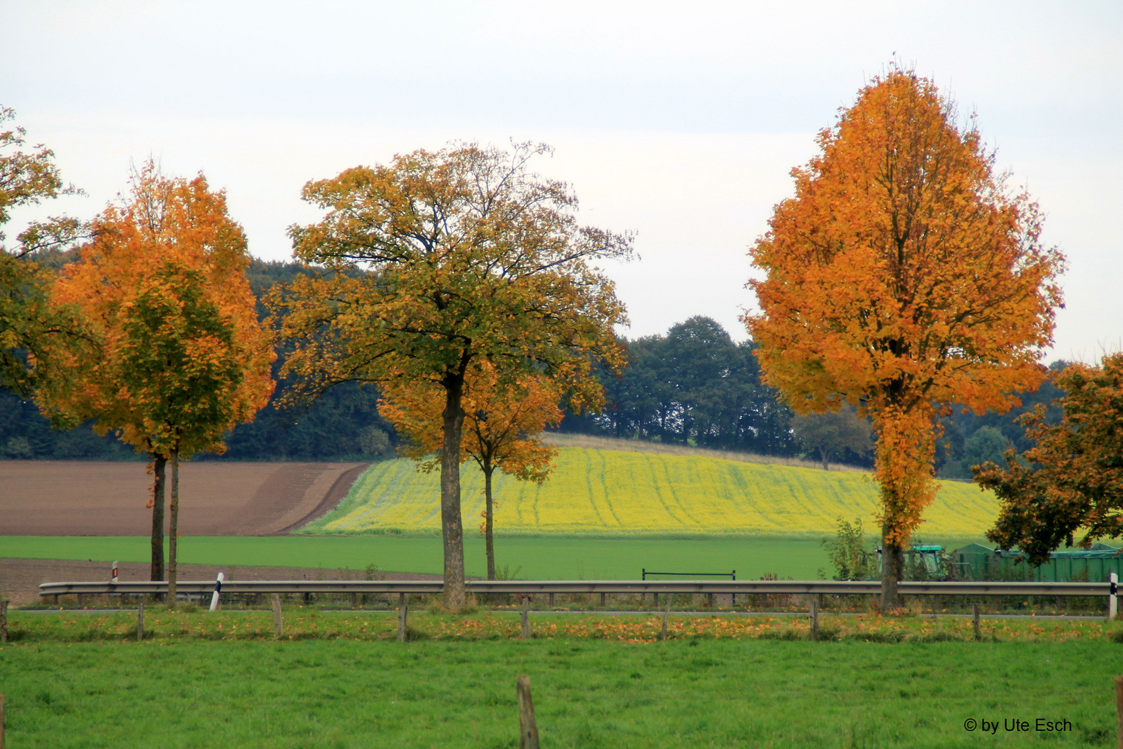 Herbstzeit