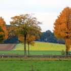 Herbstzeit