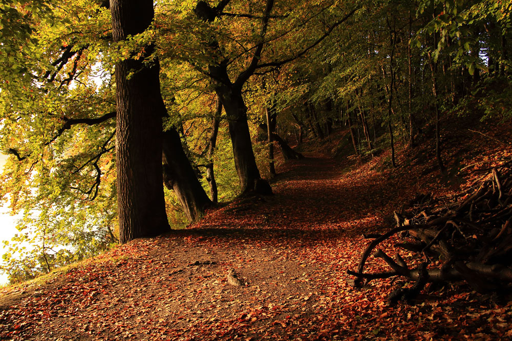 Herbstzeit