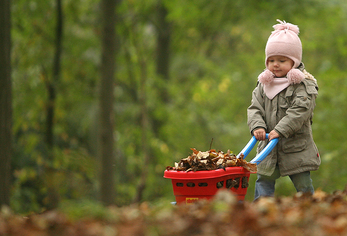 ...herbstzeit...