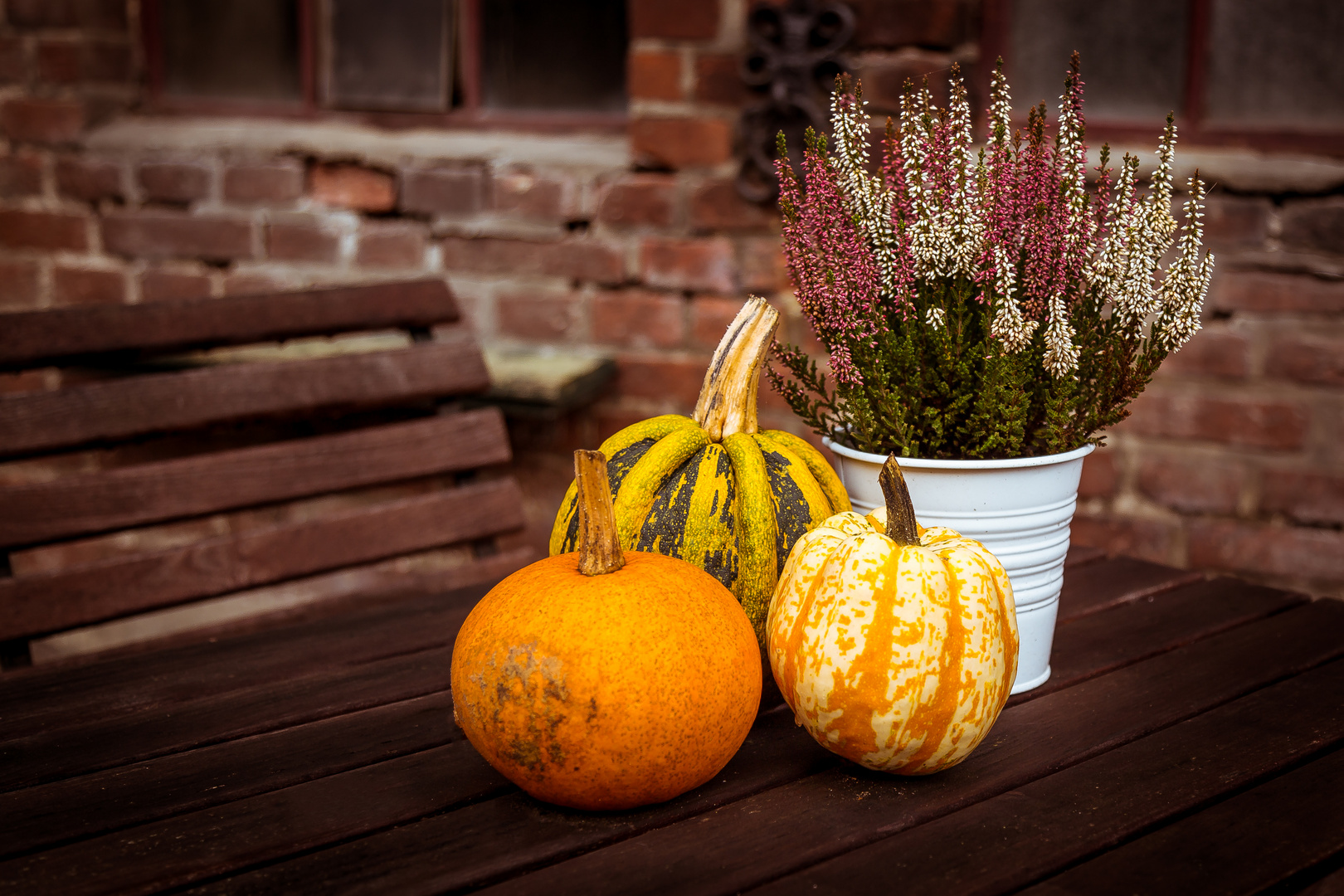 Herbstzeit 