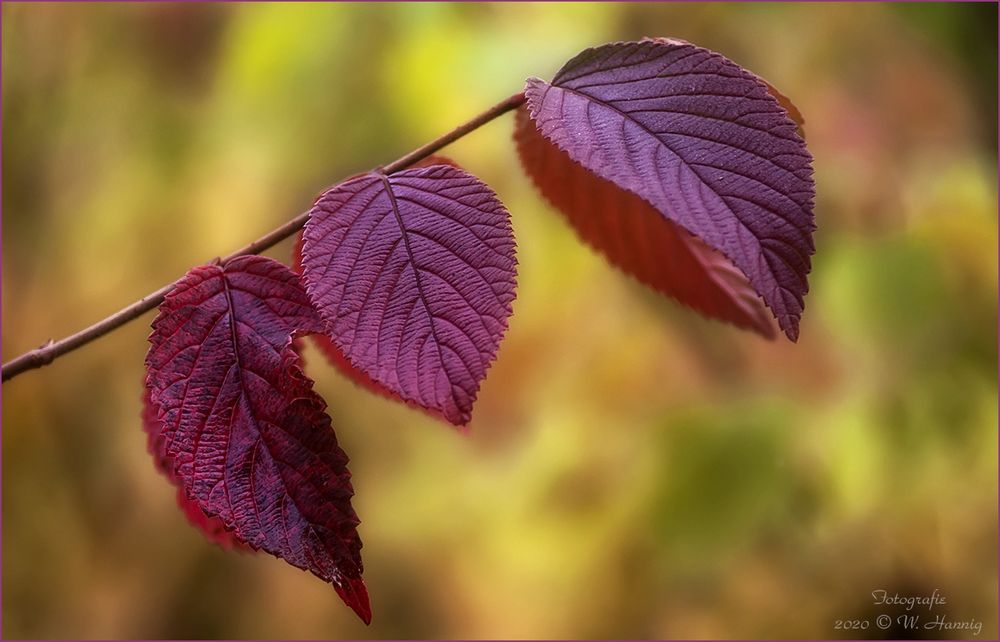 Herbstzeit