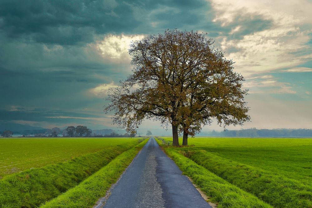 Herbstzeit