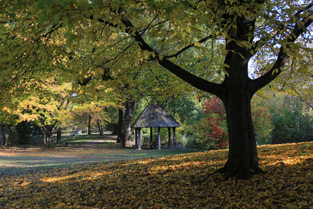 Herbstzeit