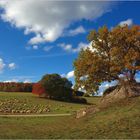 Herbstzeit...