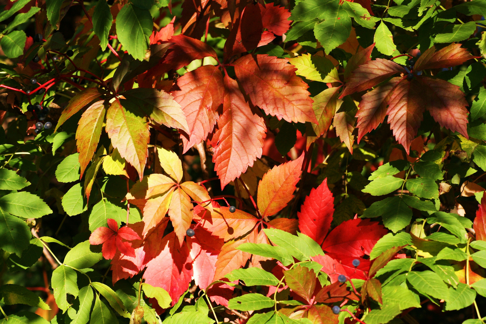 Herbstzeit