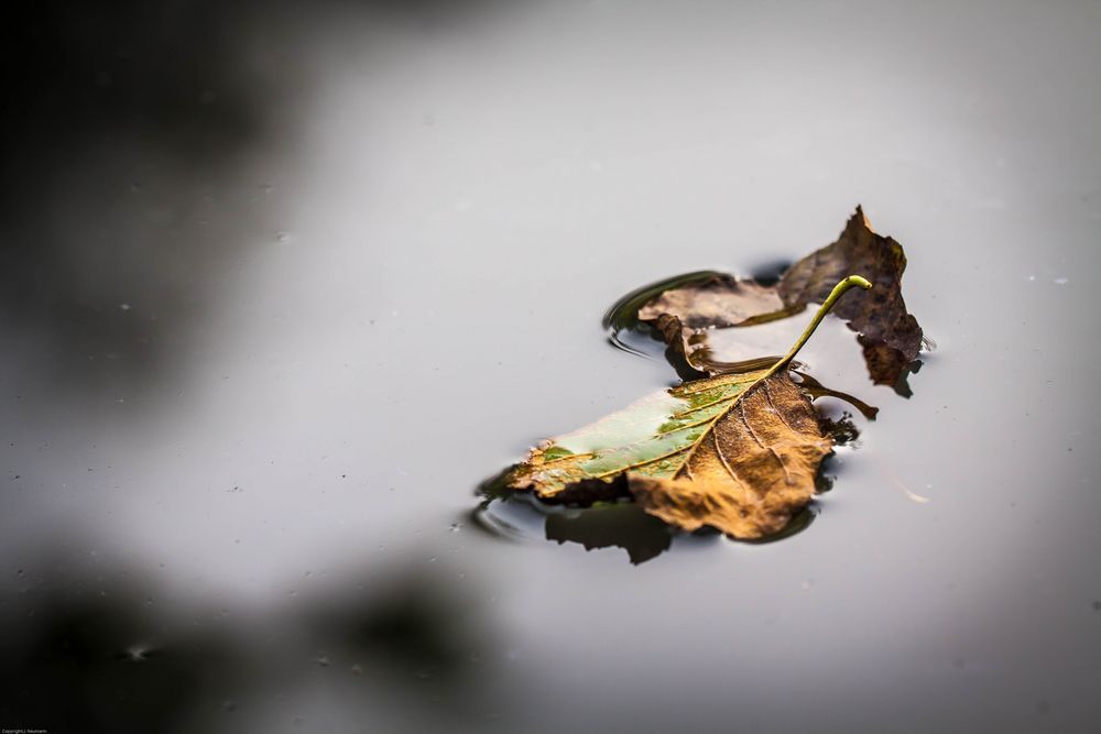 Herbstzeit