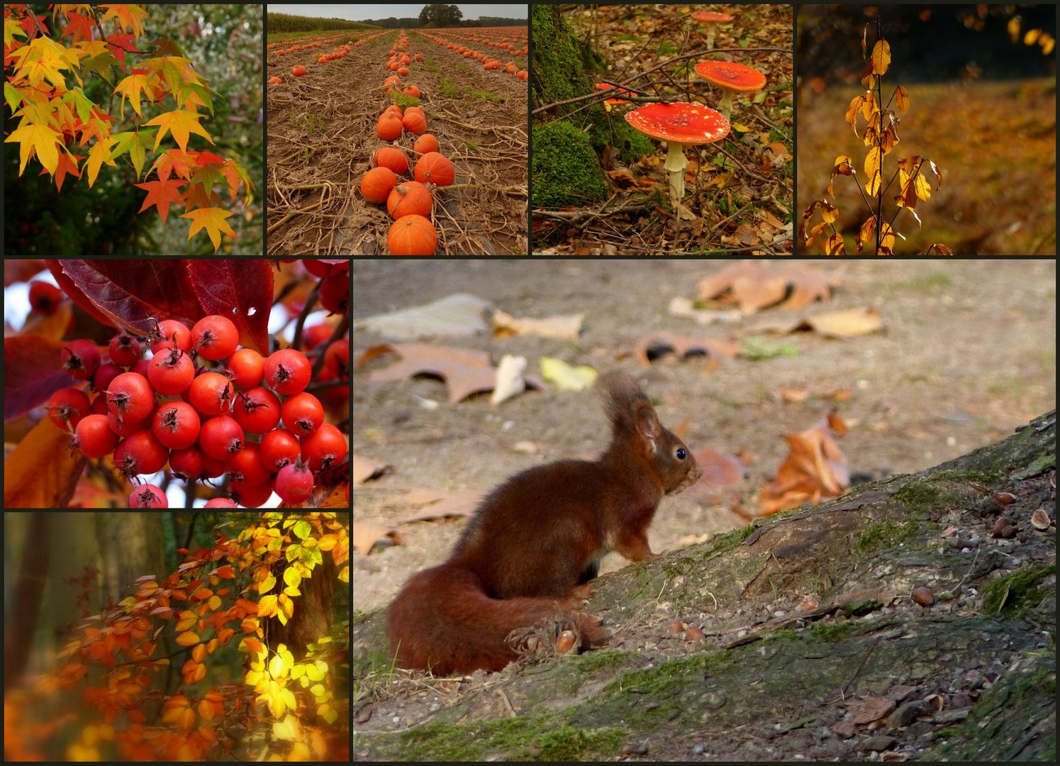 Herbstzeit