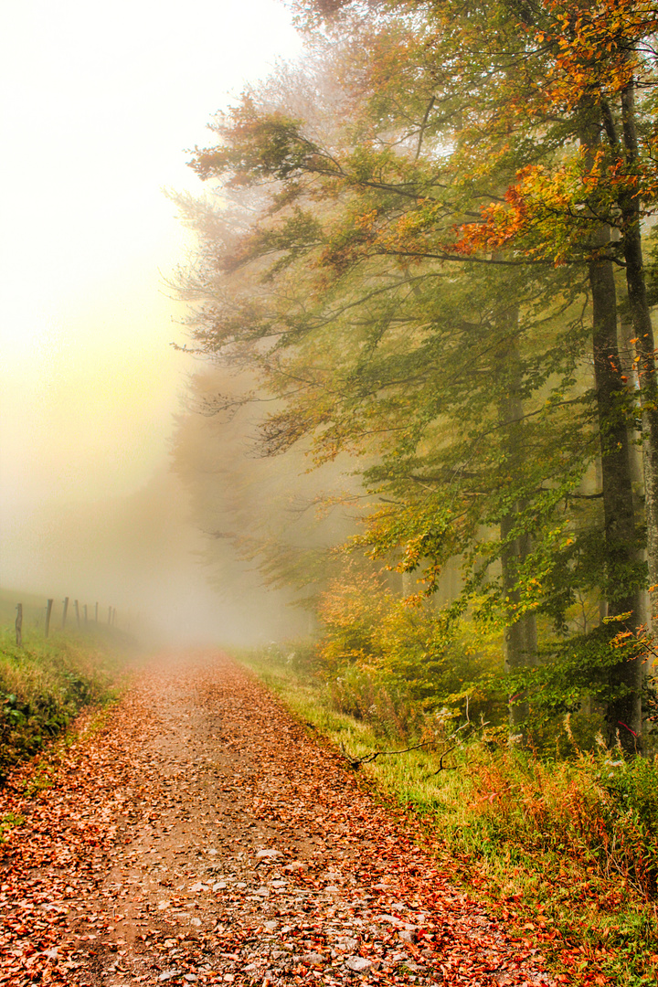 Herbstzeit