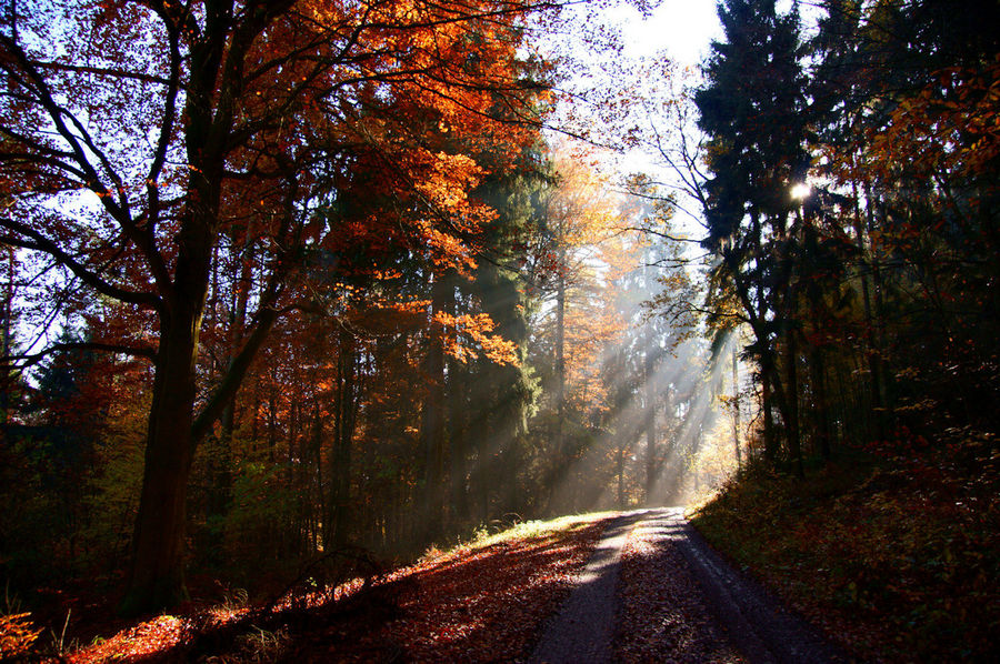 Herbstzeit